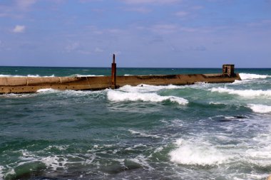 Tel - Aviv city denizin kenarında      