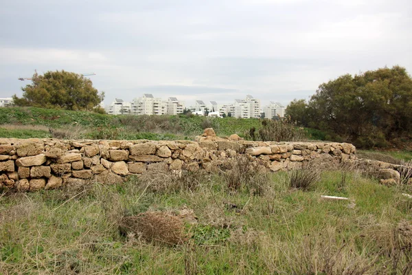 Sommer in Israel — Stockfoto