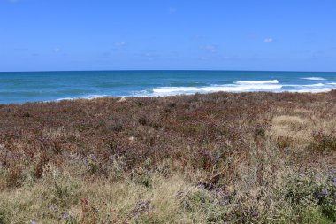 Akdeniz kıyısında   