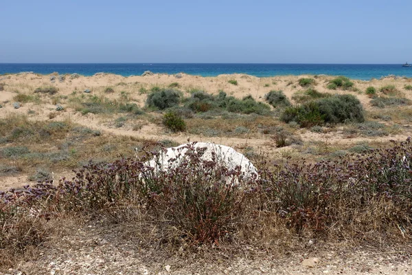 Orilla del Mar Mediterráneo — Foto de Stock