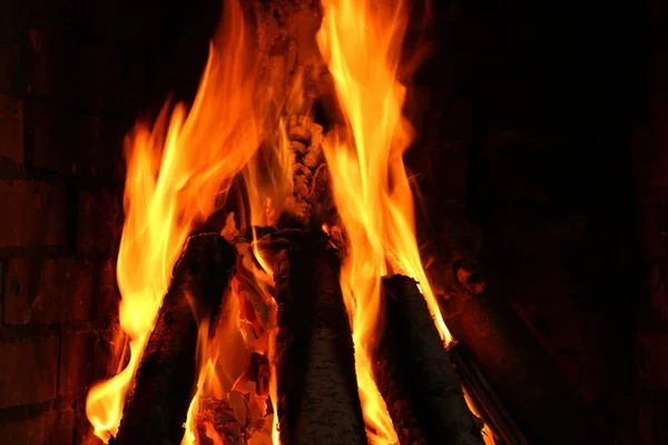Dans la cheminée bois de chauffage de bouleau — Photo