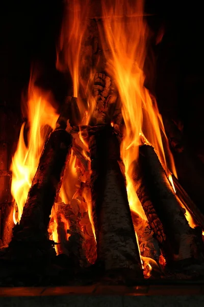 Dans la cheminée bois de chauffage de bouleau — Photo