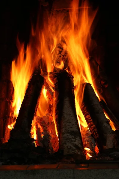 En la chimenea quemando leña de abedul — Foto de Stock