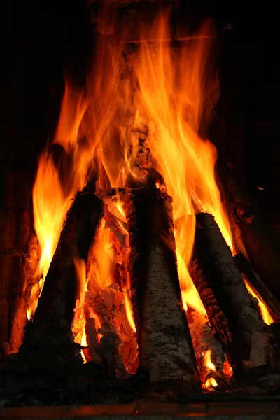 자작나무 장작을 태우는 벽난로에 — 스톡 사진