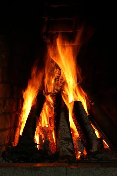 Dans la cheminée bois de chauffage de bouleau — Photo