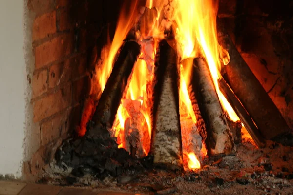 Imágenes: quema de leña | en la estufa que quema leña de abedul — Foto