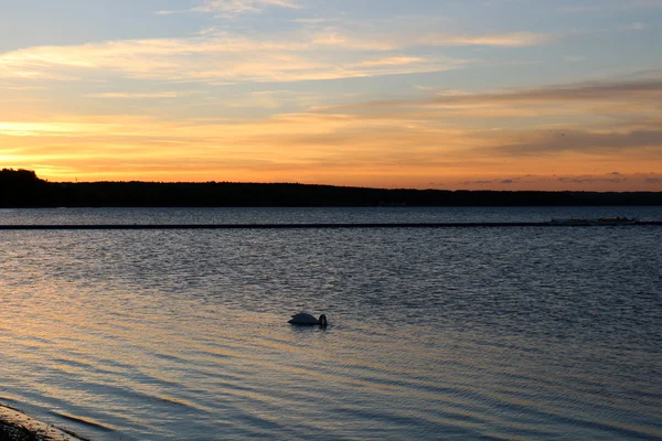 Світанку на озері Naroch — стокове фото