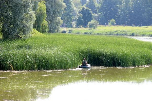 Nyaszvizsi kastély a folyó Józsefné — Stock Fotó