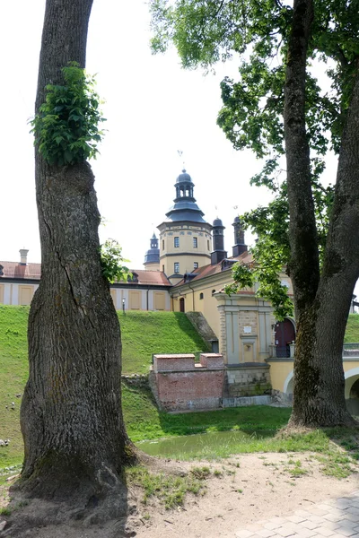 Castillo de Nesvizh en el río Usha — Foto de Stock