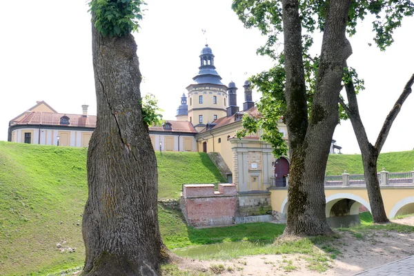 Ňasviž hrad na řece Tomeš — Stock fotografie