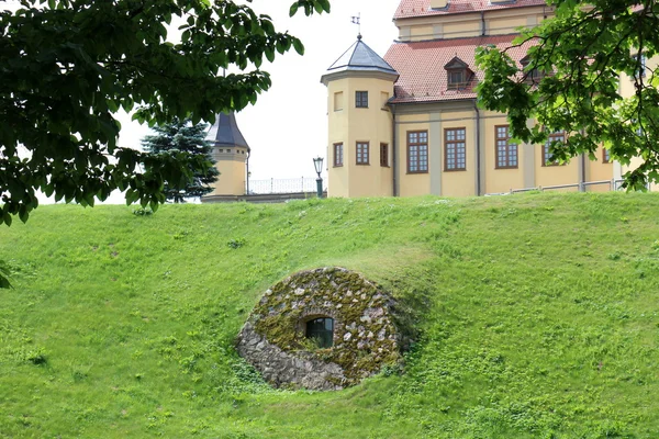 Ňasviž hrad na řece Tomeš — Stock fotografie