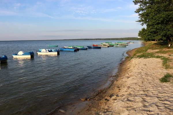 Влітку на озері Naroch — стокове фото