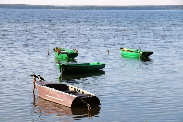 Verão no Lago Naroch — Fotografia de Stock