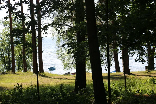 Verano en el lago Naroch — Foto de Stock