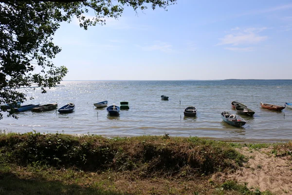 Влітку на озері Naroch — стокове фото