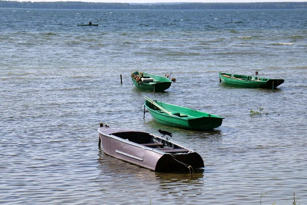 Verão no Lago Naroch — Fotografia de Stock