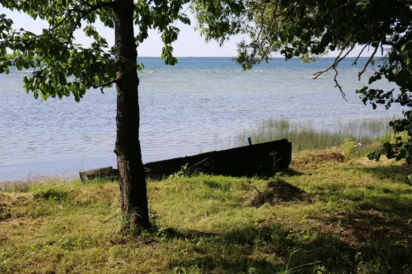 Summer at Lake Naroch — Stockfoto