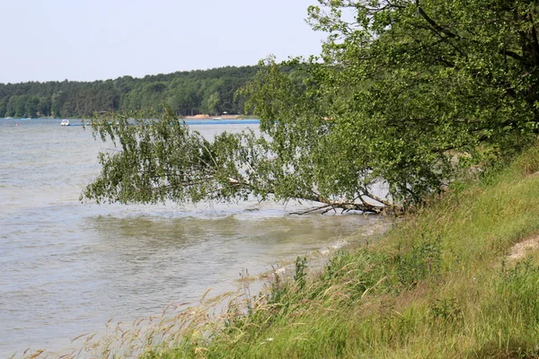 Summer at Lake Naroch — Stock Photo, Image