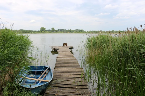 Lake Naroch yaz — Stok fotoğraf