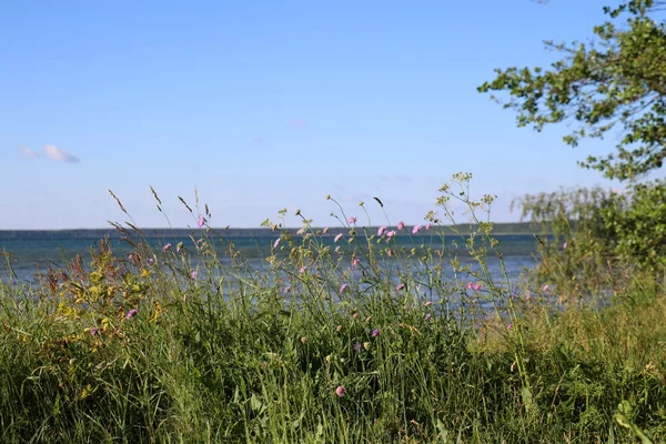 Verão no Lago Naroch — Fotografia de Stock