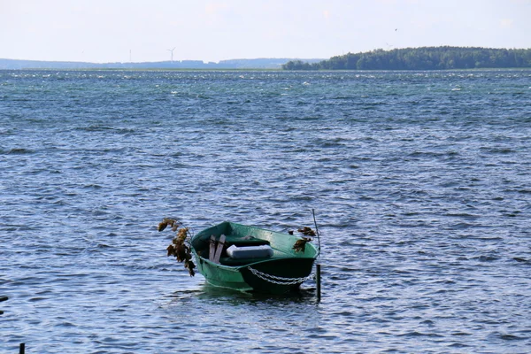 Été au lac Naroch — Photo