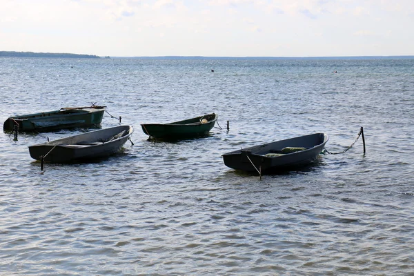 Verão no Lago Naroch — Fotografia de Stock