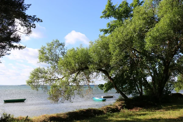 夏の湖 Naroch で — ストック写真