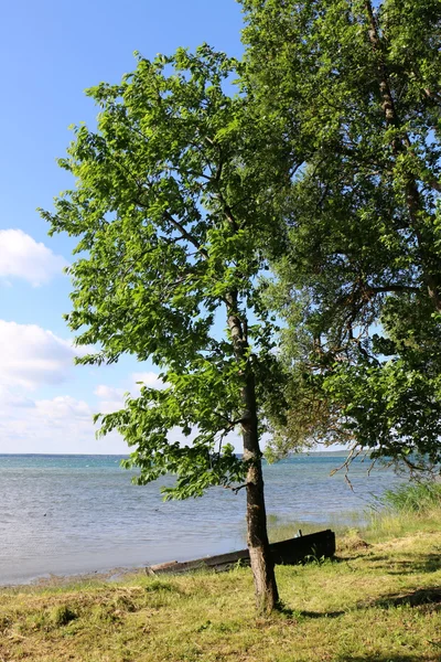 Лето на озере Нарочь — стоковое фото