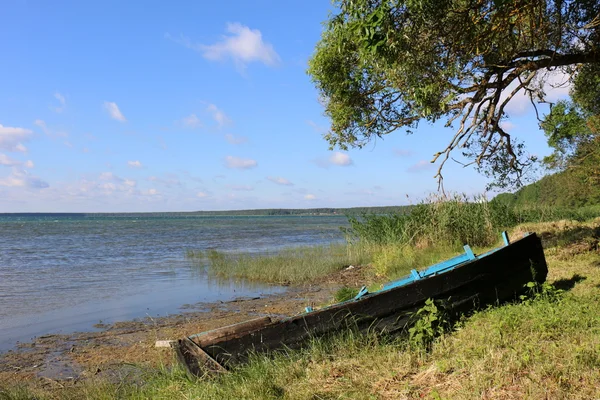 Verão no Lago Naroch — Fotografia de Stock