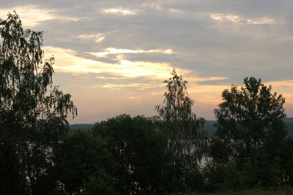 Lato nad jeziorem Narocz — Zdjęcie stockowe