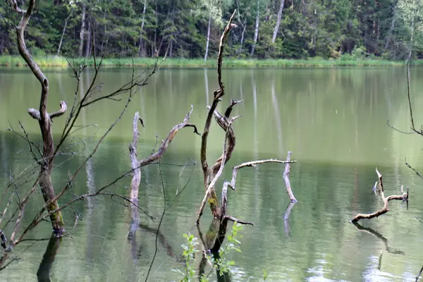 Národní park "Naroch" — Stock fotografie