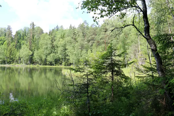 Milli Parkı "Naroch" — Stok fotoğraf