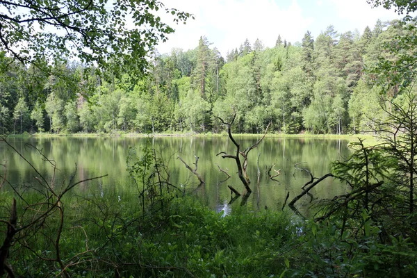 Nemzeti park "Naroch" — Stock Fotó