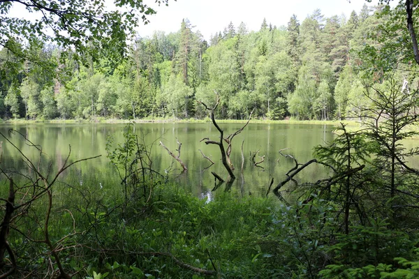 Nationaal park "Naroch" — Stockfoto