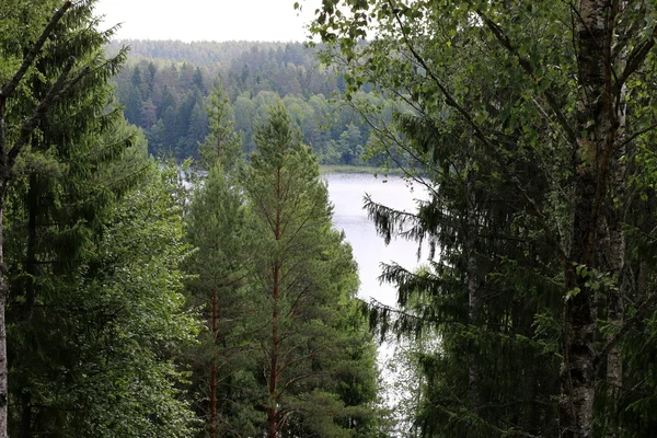 Park narodowy "Narocz" — Zdjęcie stockowe