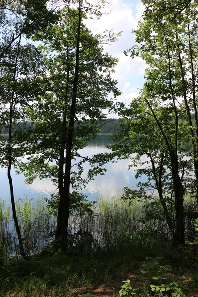 Nemzeti park "Naroch" — Stock Fotó