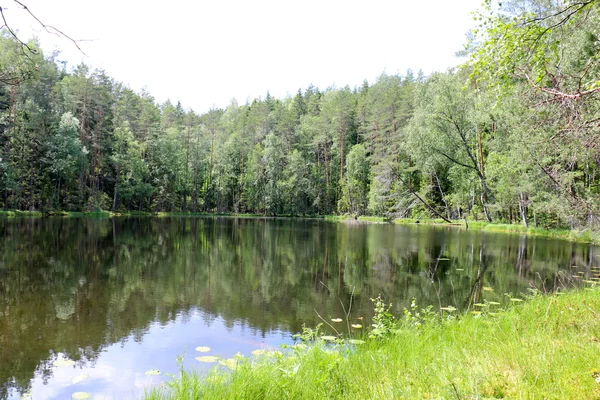 Nemzeti park "Naroch" — Stock Fotó