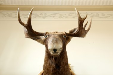 Mir kalesidir mimari bir anıt 