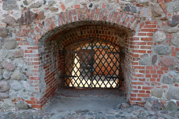 Vilnius Gediminas kaleden görünümü 