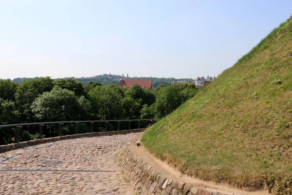 Vilnius Gediminas kaleden görünümü — Stok fotoğraf