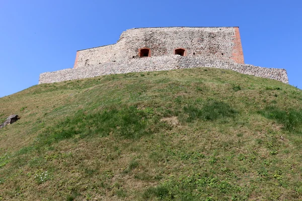 Vilnius Gediminas kaleden görünümü 