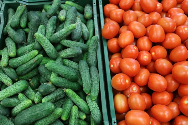 Basar in Vilnius — Stockfoto