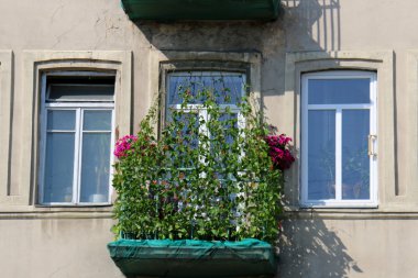 kentsel pencere bizi izliyor 