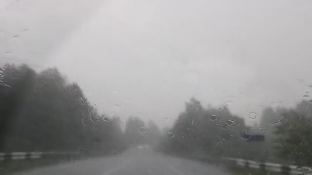 Pluie abondante sur le chemin — Video