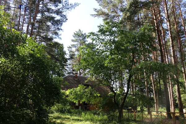 Estate in Bielorussia — Foto Stock