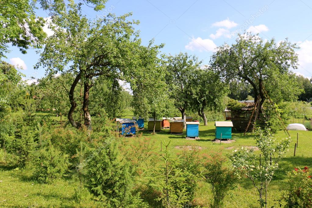 shimonbar.mail.ru