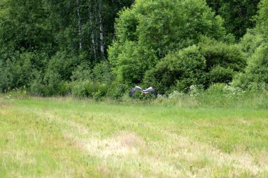 Yaz aylarında Beyaz Rusya 