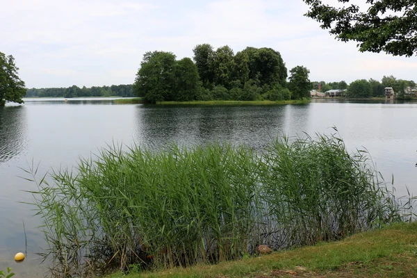 Yaz aylarında Beyaz Rusya 