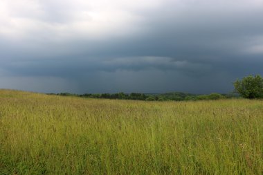 Yaz aylarında Beyaz Rusya 