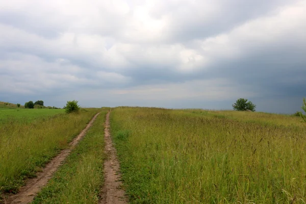 Estate in Bielorussia — Foto Stock